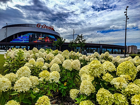 Куда пойти в Омске 22, 23 и 24 августа