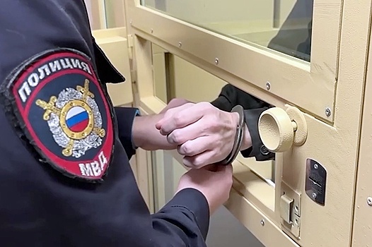 МВД рассказало о задержанном в Москве "неучтенном" воре в законе Лехе Московском