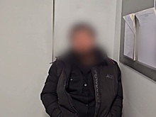 Матерщинника задержали полицейские на борту самолета «Норильск – Новосибирск»