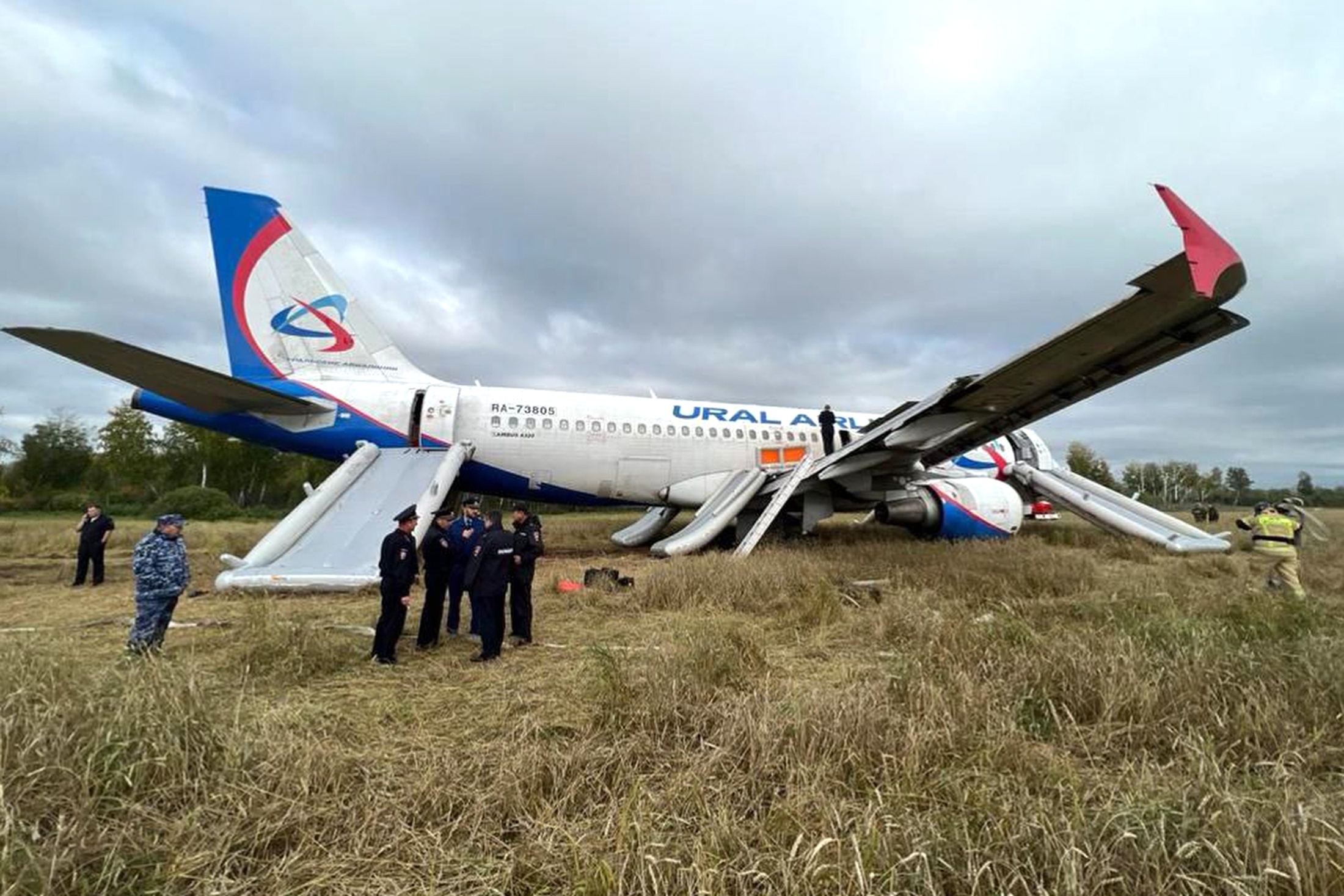 Уволен второй пилот из экипажа, посадившего A320 в поле под Новосибирском