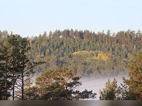 Золотодобывающая компания возместит 5,6 млн рублей ущерба лесам Забайкалья