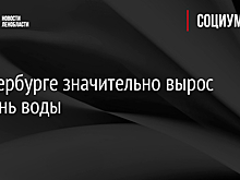 В Петербурге значительно вырос уровень воды