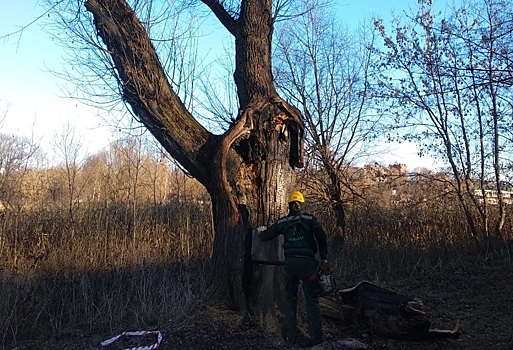 Специалисты убрали аварийные деревья в поселении Рязановское