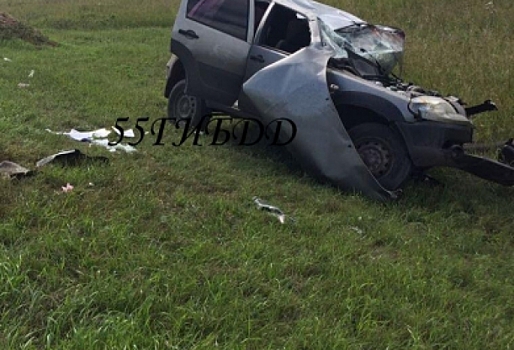 Пьяный водитель «убил» пенсионера на дороге под Омском. Внучка погибшего повредила позвоночник