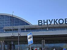 Во Внуково повезли пьяного мужчину в тележке