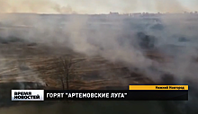 Природный парк «Артемовские луга» горит в Нижегородской области