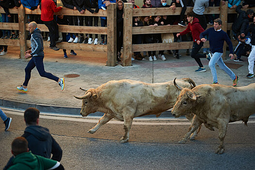 В Испании в ходе забега с быками на фестивале Сан-Фермин пострадали три человека