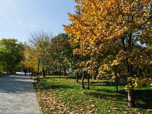 Циклон с юго-запада принесет в Волгоград дожди без понижения температуры