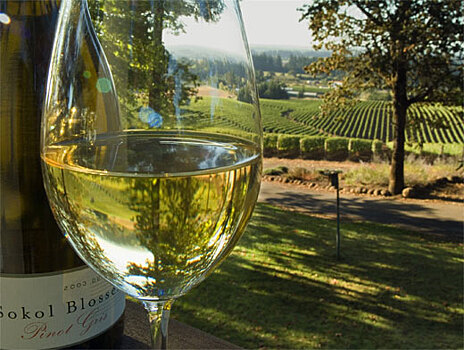 Ученые выяснили, чем опасно белое вино для женщин