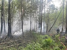 В Свердловской области было выявлено около 8 тысяч нарушений противопожарного режима