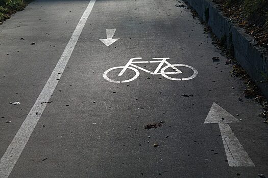 В Краснодаре создали петицию за обустройство велодорожек
