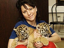 В Кострому приехал московский цирк Никулина