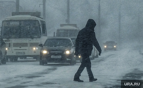 Екатеринбуржца насмерть сбил пассажирский автобус. Мужчина поспорил, что перебежит дорогу