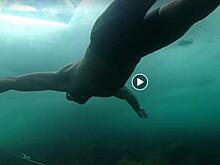 Иркутянин проплыл подо льдом Байкала без гидрокостюма