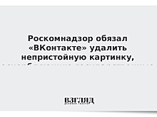 Роскомнадзор обязал "ВКонтакте" удалить из группы MDK непристойную картинку с флагом РФ