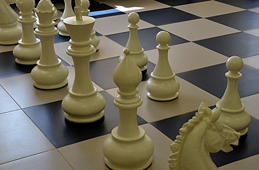 Команда из школы поселения Вороновское заняла пятое место во Всероссийском турнире по шахматам