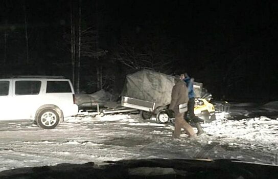 Свердловского полицейского проверят из-за двух мертвых лосей в машине
