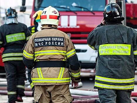 Кровля птицефабрики загорелась под Челябинском на площади 7 тыс "квадратов"