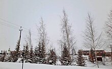 День снеговика, уборка снега в Елабуге: новые посты глав районов Татарстана в "Инстаграм" 24 января