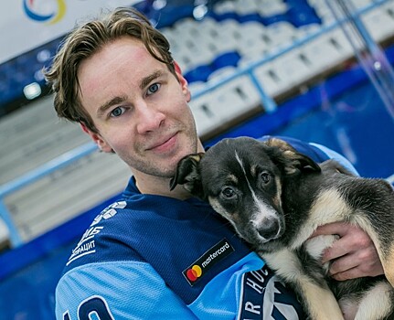 Хоккейная «Сибирь» приняла участие в фотосессии с бездомными щенками
