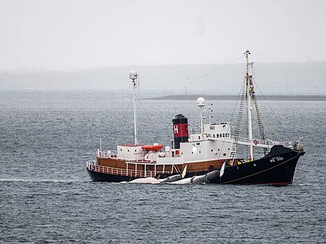 Росрыболовство прокомментировало введение Норвегией санкций в отношении судов РФ