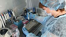 В Петербурге студента из Италии проверят на коронавирус