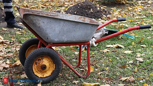 В ноябре уборкой города занимались около 17 500 пензенцев