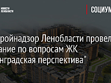 Комстройнадзор Ленобласти провел заседание по вопросам ЖК "Ленинградская перспектива"