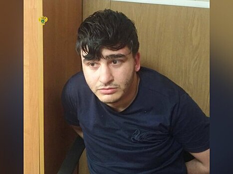 Подозреваемый в убийстве мужчины из-за парковки в Москве задержан в Ростовской области
