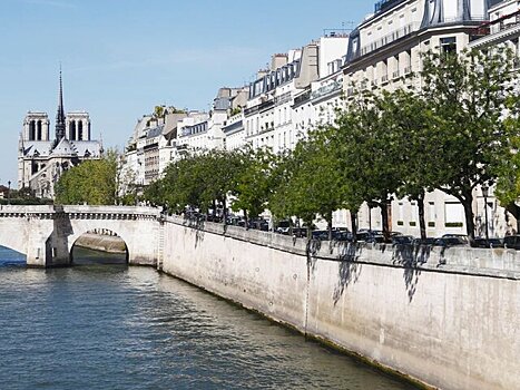 L'Equipe: уровень загрязнения воды в Сене превысил норму перед ОИ-2024