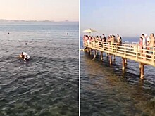 Семья погибшей туристки добилась денежной компенсации