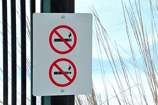 Штат Нью-Йорк запретил электронные сигареты с вкусовыми добавками