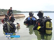 Ребят из детских домов и многодетных семей научили нырять с аквалангом