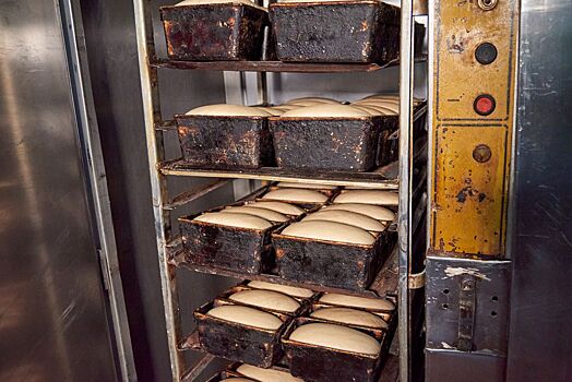 Глава новосибирского Минсельхоза ответил на вопрос о подорожании хлеба