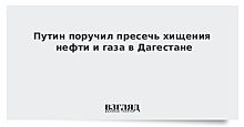 Путин поручил пресечь хищения нефти и газа в Дагестане