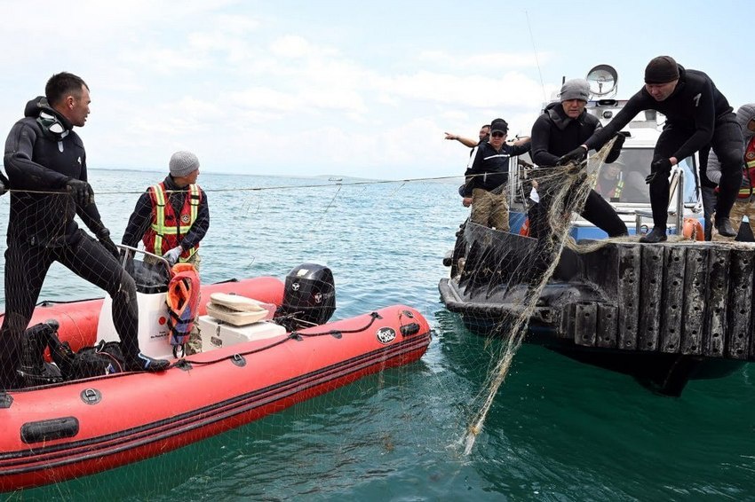 Изъятые в Кыргызстане сети браконьеров покроют расстояние от Бишкека до Москвы