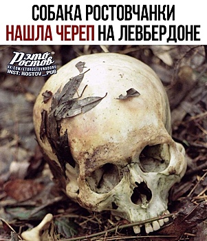 На левом берегу Дона в Ростове нашли человеческий череп