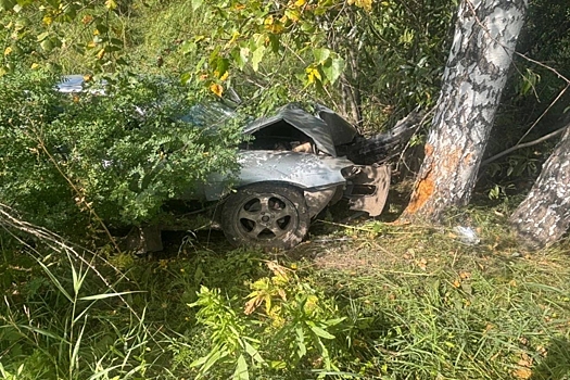 Вылетел в кювет и разбился о дерево водитель Nissan Pulsar под Новосибирском