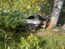 Вылетел в кювет и разбился о дерево водитель Nissan Pulsar под Новосибирском