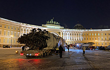 Главная новогодняя ель Петербурга прибыла на Дворцовую площадь