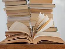 Книги в России по-прежнему дороже водки. И продолжают расти в цене