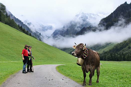 Горное убежище