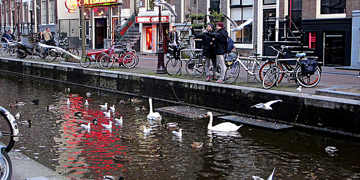 Премьер-министр Нидерландов Рютте объявил об отставке правительства