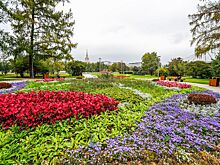 Более 700 тысяч мнений о благоустройстве столичных парков собрали в проекте «Активный гражданин»