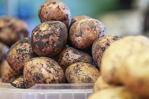 В программе Мясникова раскрыли опасность картофеля для здоровья