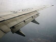Пассажиров аварийно севшего рейса Flydubai отвезут в Екатеринбург автобусами