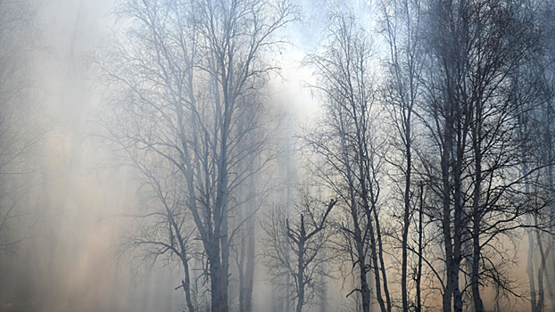 Самолёт Бе-200 вновь приступит к тушению пожаров в Якутии