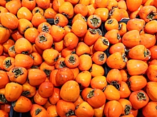 Агроном дала советы по выращиванию хурмы дома