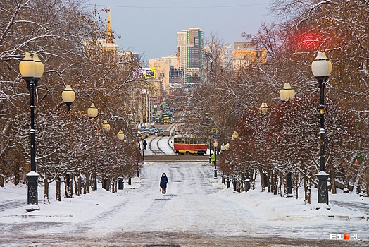 Первая рабочая неделя зимы в Екатеринбурге будет умеренно теплой и бесснежной