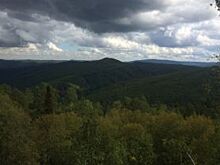 В 2019 году вокруг Красноярска появится «Зелёный пояс»